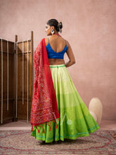 Blue Green Chaniya Choli
